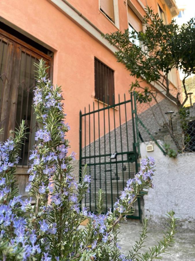 Blue Moon Riomaggiore Casa Vacanze מראה חיצוני תמונה